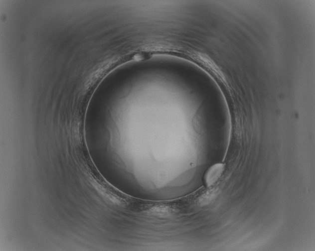 X0000071380441200606261417