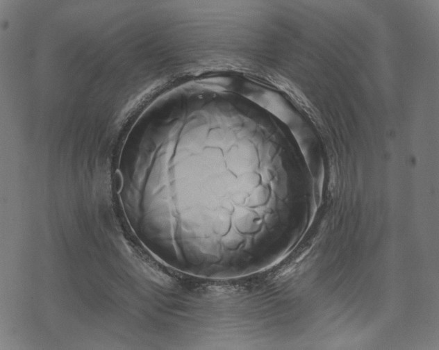 X0000071380442200606261417