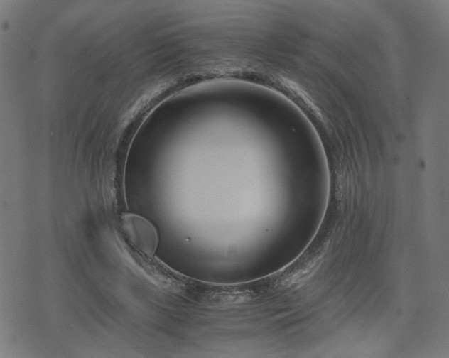 X0000071380443200606261417