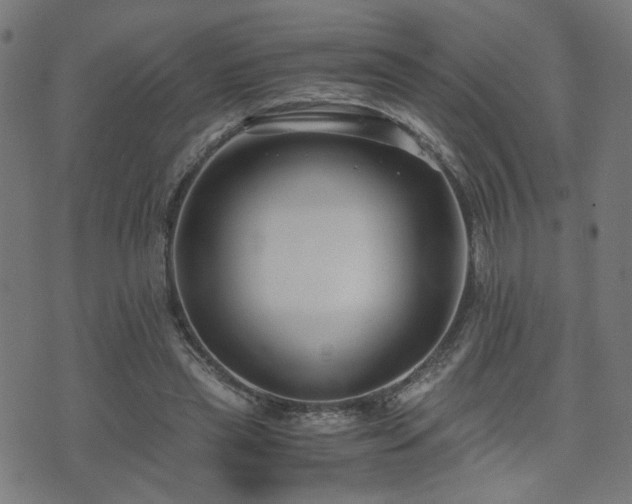 X0000071380445200606261417