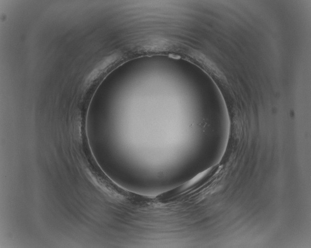 X0000071380446200606261417