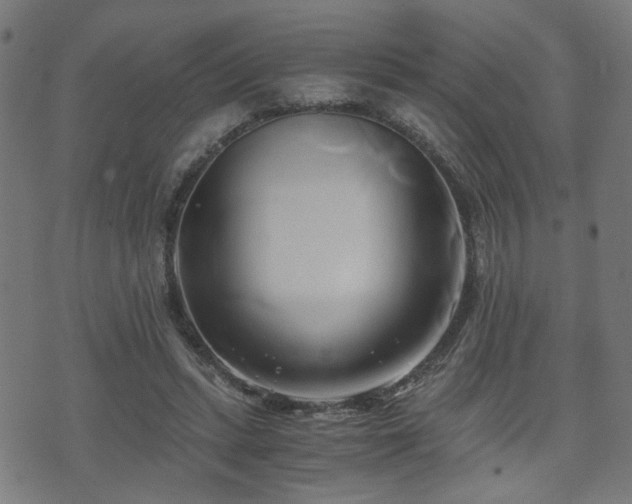 X0000071380447200606261417