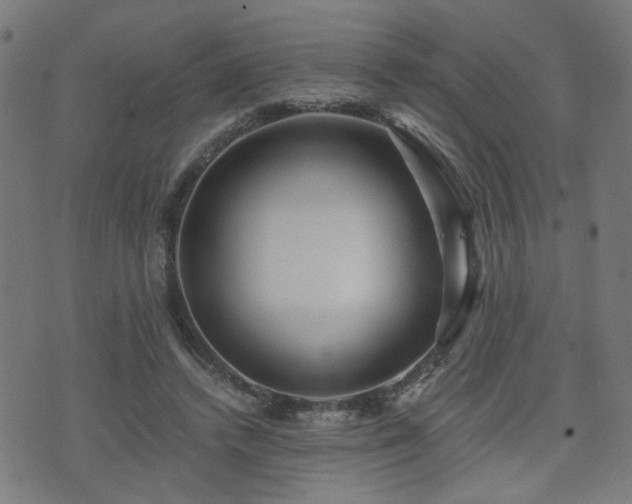 X0000071380448200606261417