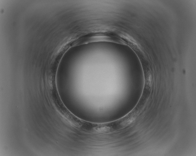 X0000071380452200606261417