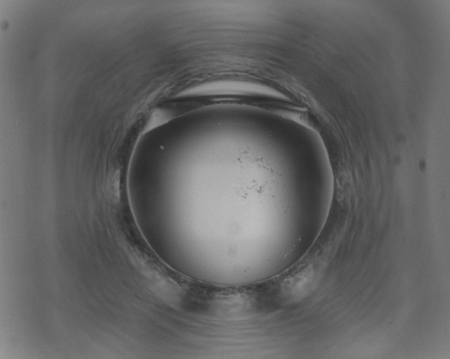 X0000071380454200606261417