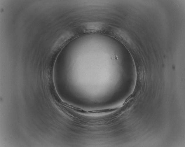 X0000071380455200606261417