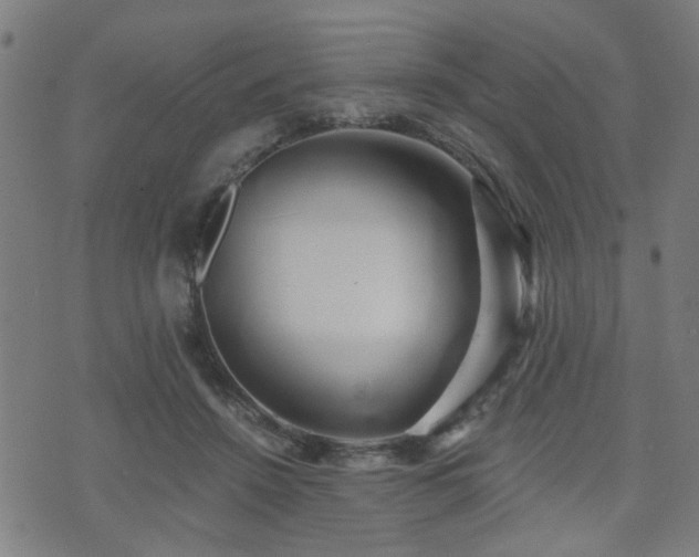 X0000071380456200606261417