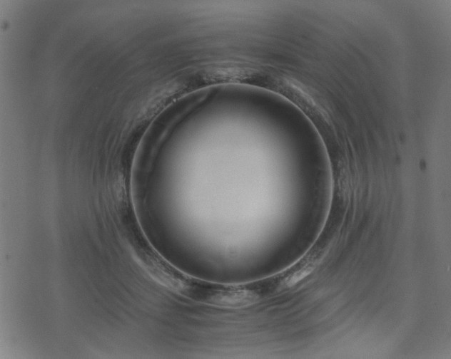 X0000071380459200606261418