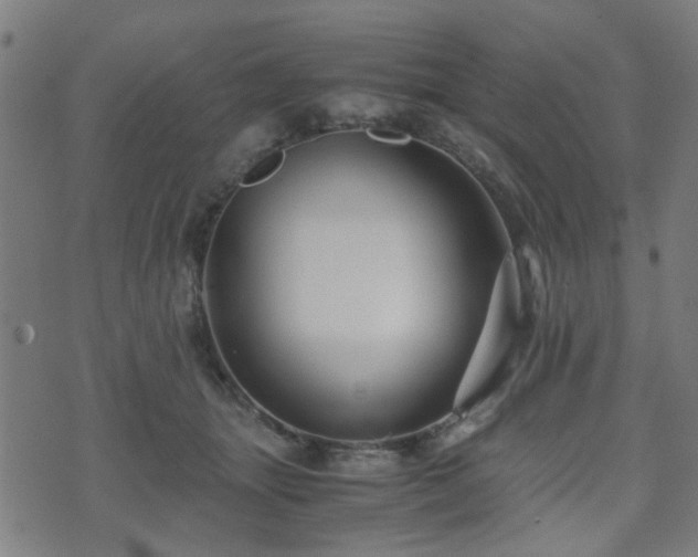 X0000071380463200606261418