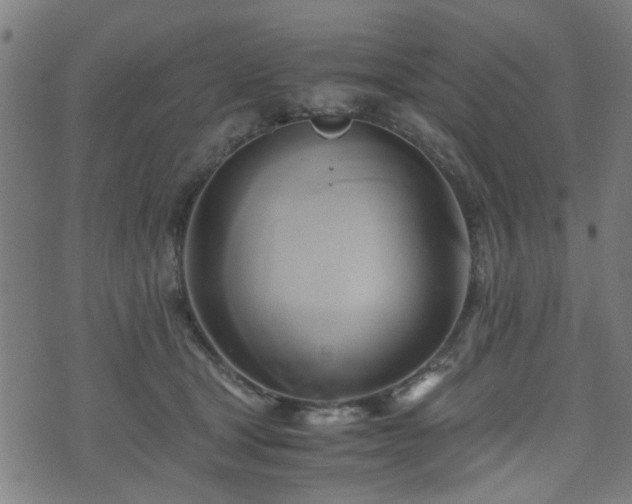 X0000071380465200606261418