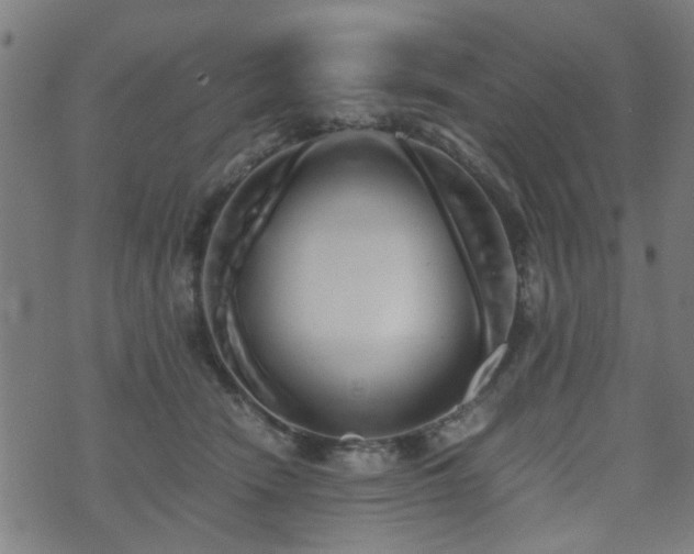 X0000071380466200606261418