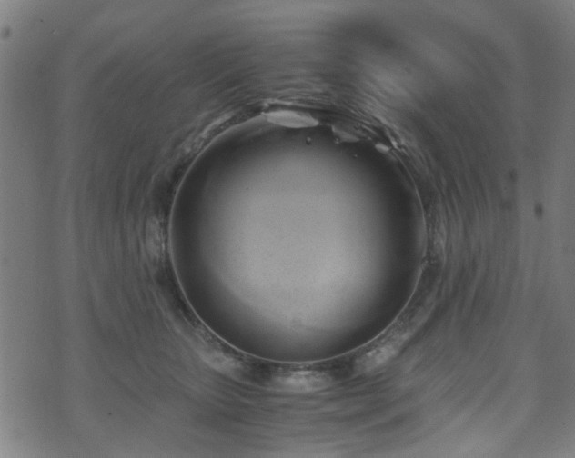 X0000071380467200606261418