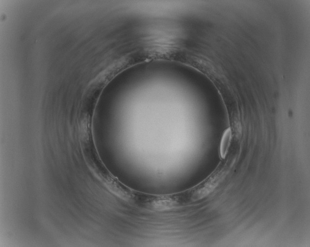 X0000071380468200606261418