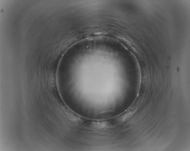 X0000071380469200606261418