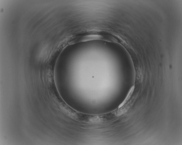 X0000071380470200606261418