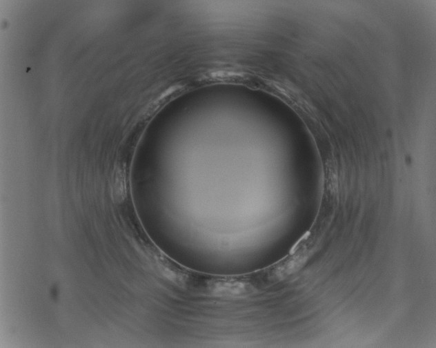 X0000071380471200606261418