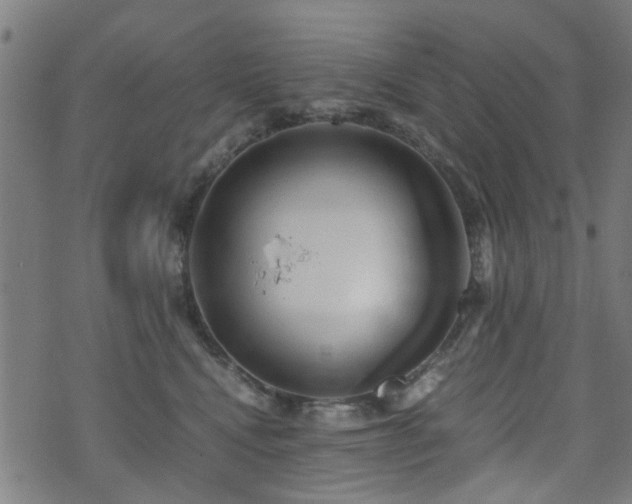 X0000071380472200606261418