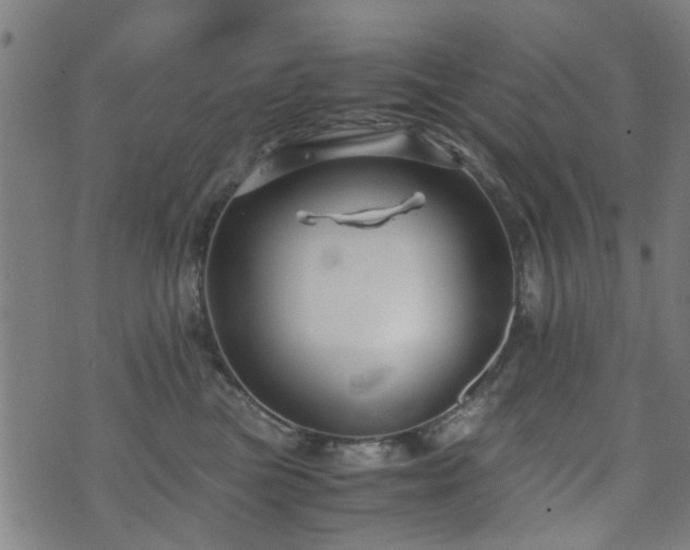 X0000071380473200606261418