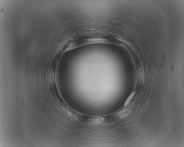 X0000071380474200606261418