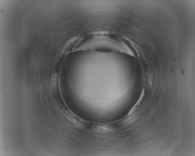 X0000071380475200606261418