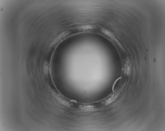 X0000071380476200606261418