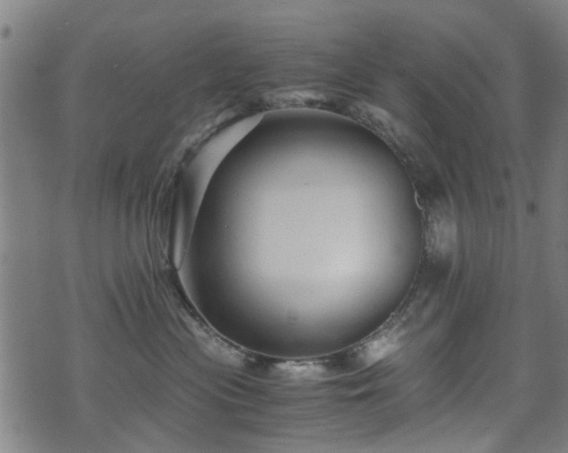 X0000071380477200606261418