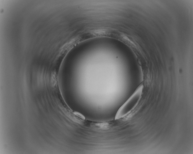 X0000071380478200606261418