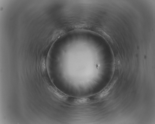 X0000071380479200606261418