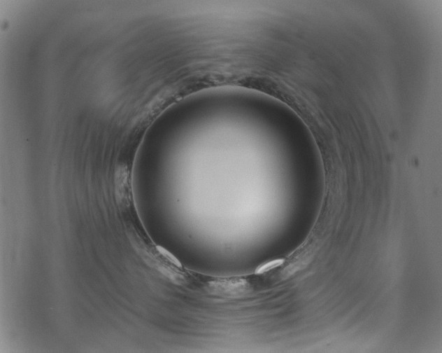 X0000071380480200606261418