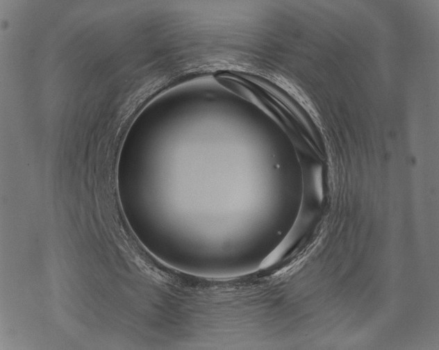 X0000071380481200606261417