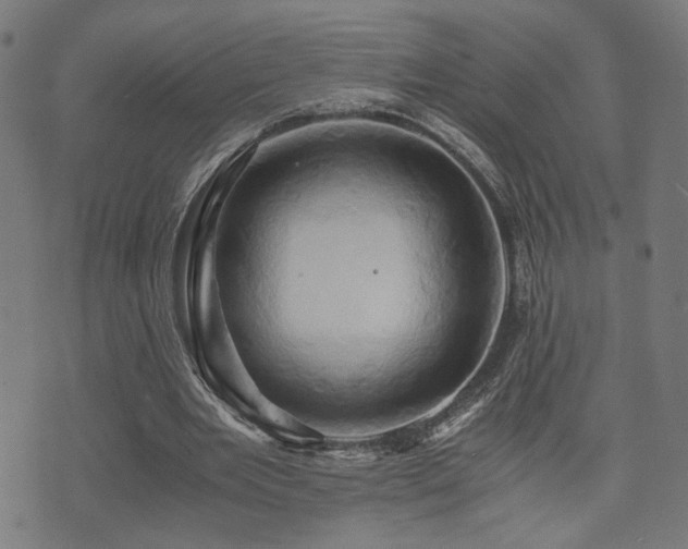 X0000071380485200606261417