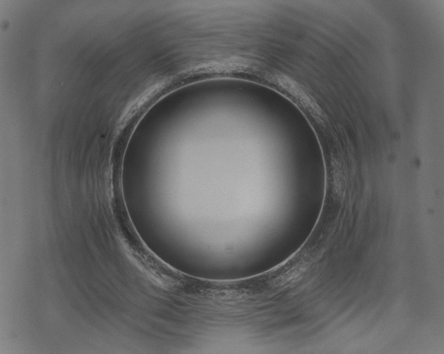 X0000071380486200606261417