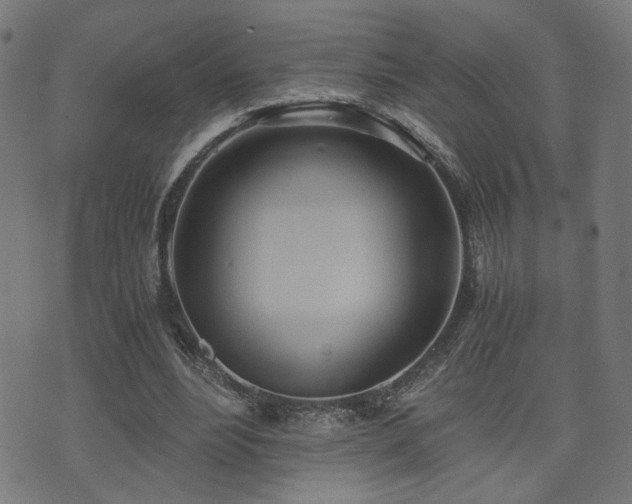 X0000071380488200606261417