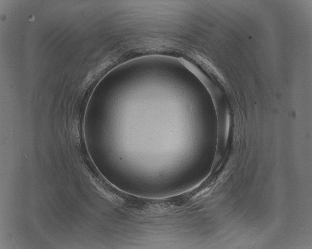 X0000071380489200606261417