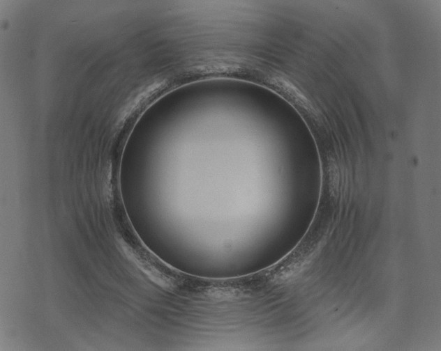 X0000071380490200606261417