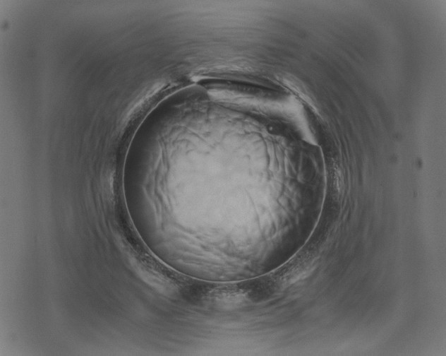 X0000071380491200606261417