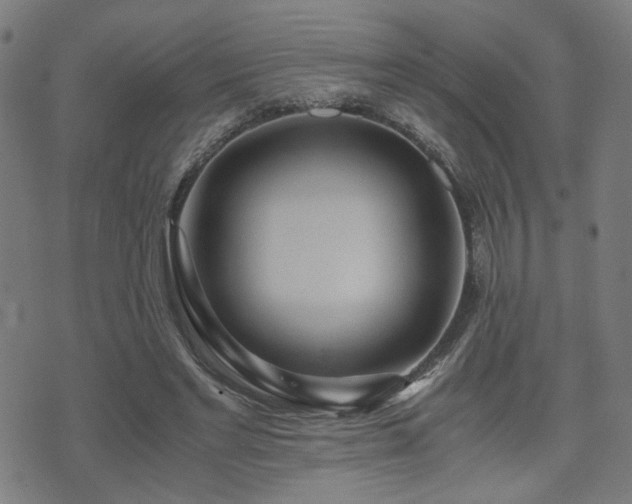 X0000071380493200606261417