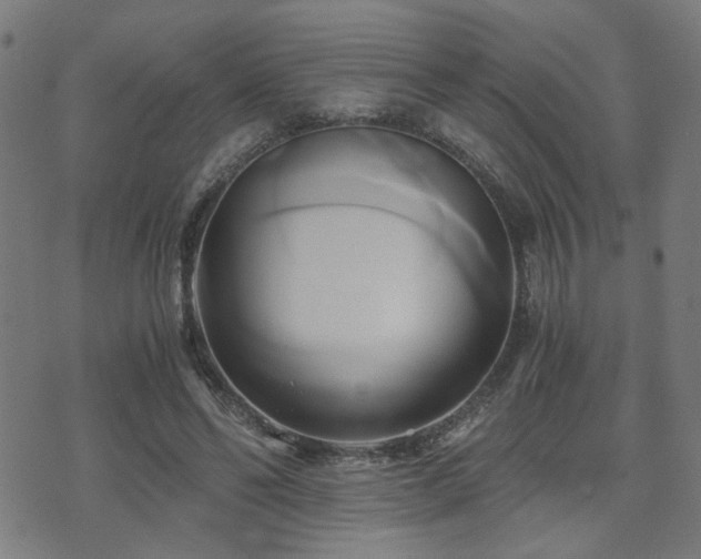 X0000071380494200606261417