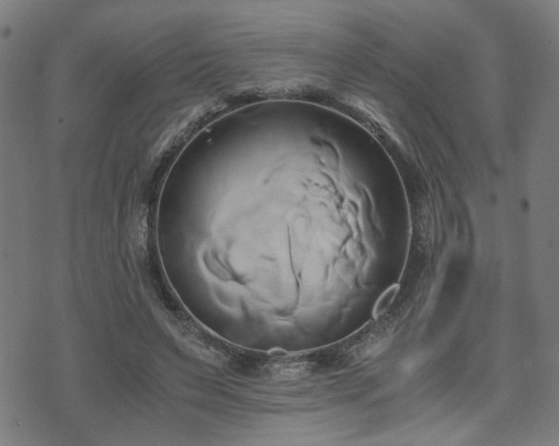 X0000071380495200606261417