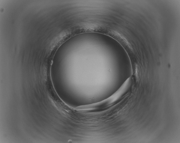 X0000071380496200606261417