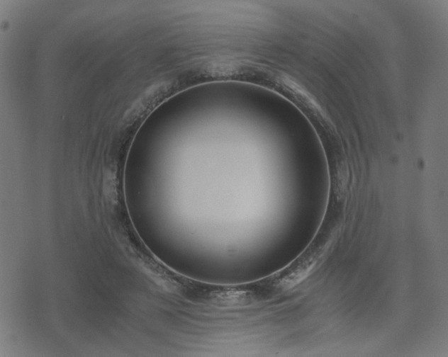 X0000071380497200606261417