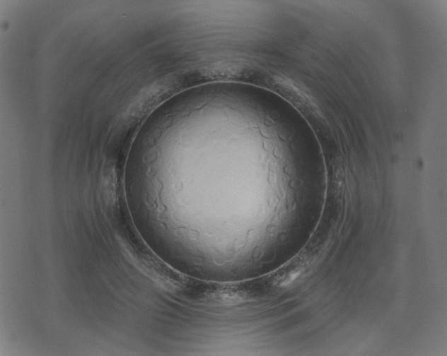 X0000071380498200606261417