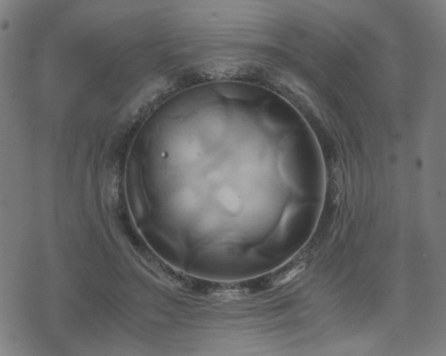 X0000071380499200606261417