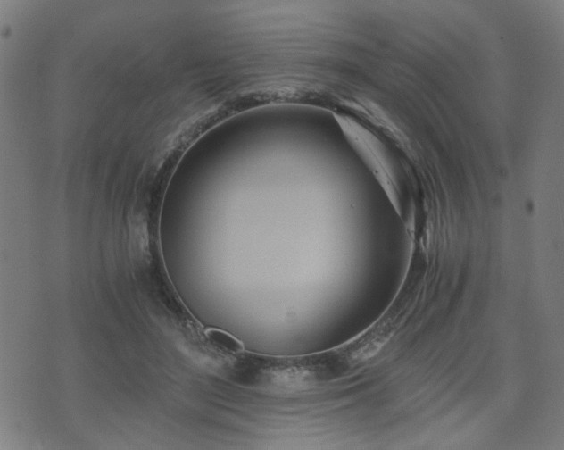 X0000071380500200606261417