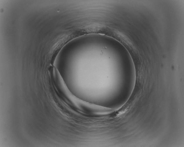 X0000071380501200606261417