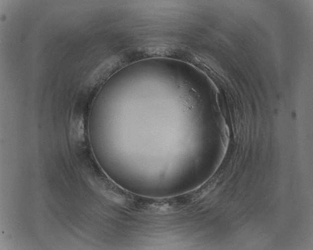 X0000071380502200606261417