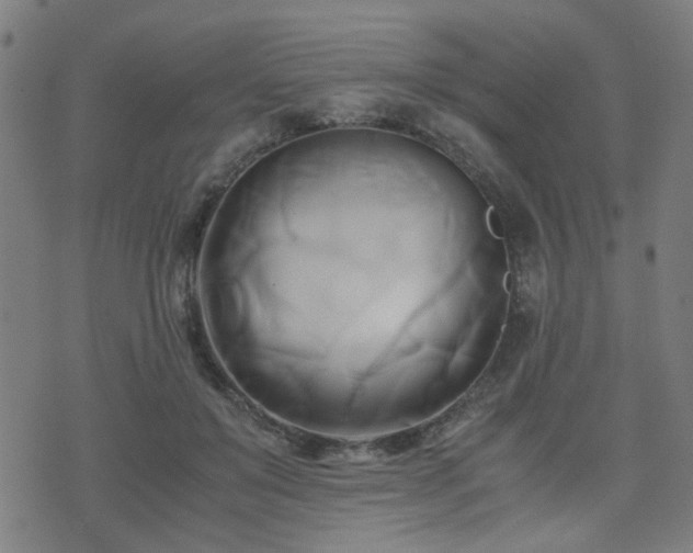 X0000071380503200606261417