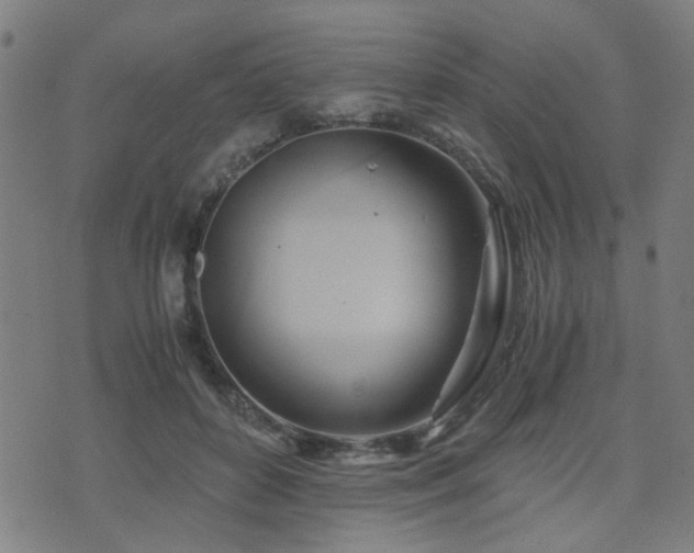 X0000071380504200606261417