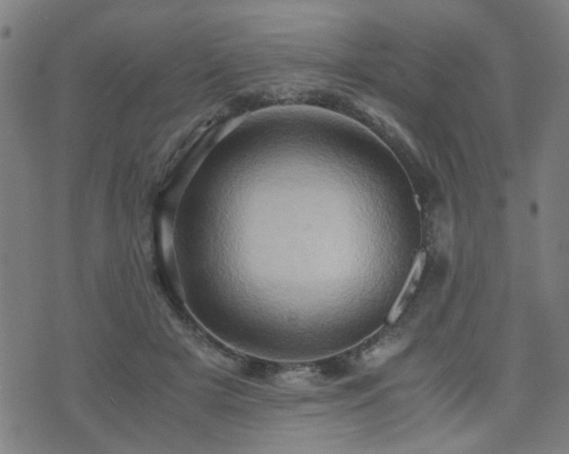 X0000071380505200606261417