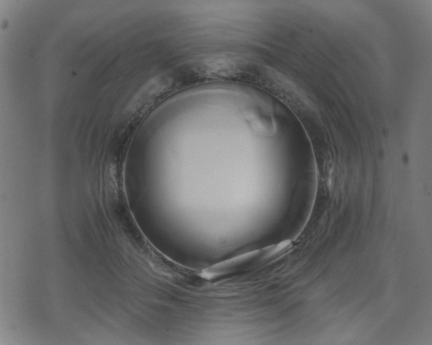 X0000071380506200606261417